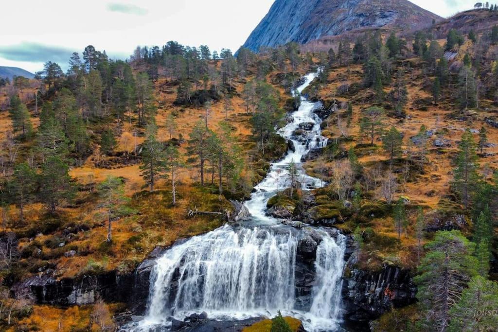 Holiday Home Among The Pearls Of Norway สตรานดา ภายนอก รูปภาพ