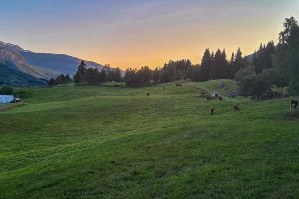Holiday Home Among The Pearls Of Norway สตรานดา ภายนอก รูปภาพ