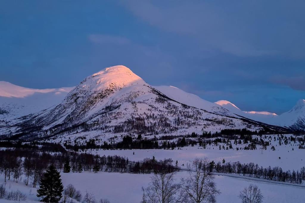 Holiday Home Among The Pearls Of Norway สตรานดา ภายนอก รูปภาพ
