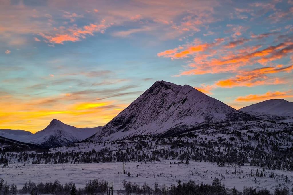 Holiday Home Among The Pearls Of Norway สตรานดา ภายนอก รูปภาพ