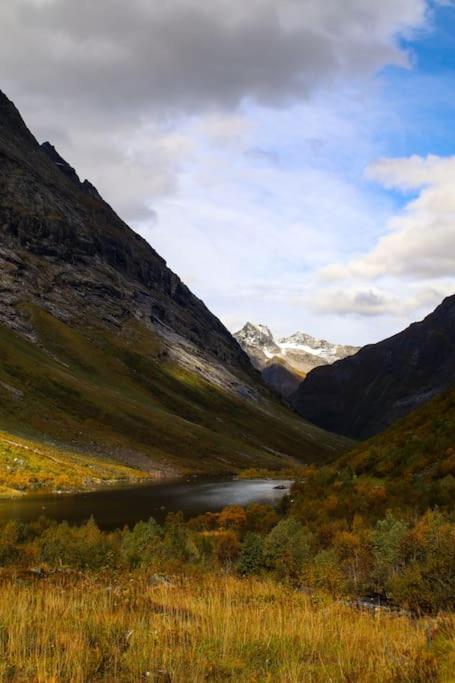 Holiday Home Among The Pearls Of Norway สตรานดา ภายนอก รูปภาพ
