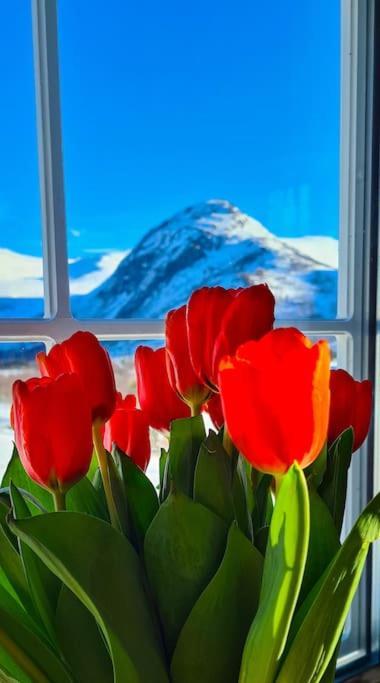 Holiday Home Among The Pearls Of Norway สตรานดา ภายนอก รูปภาพ