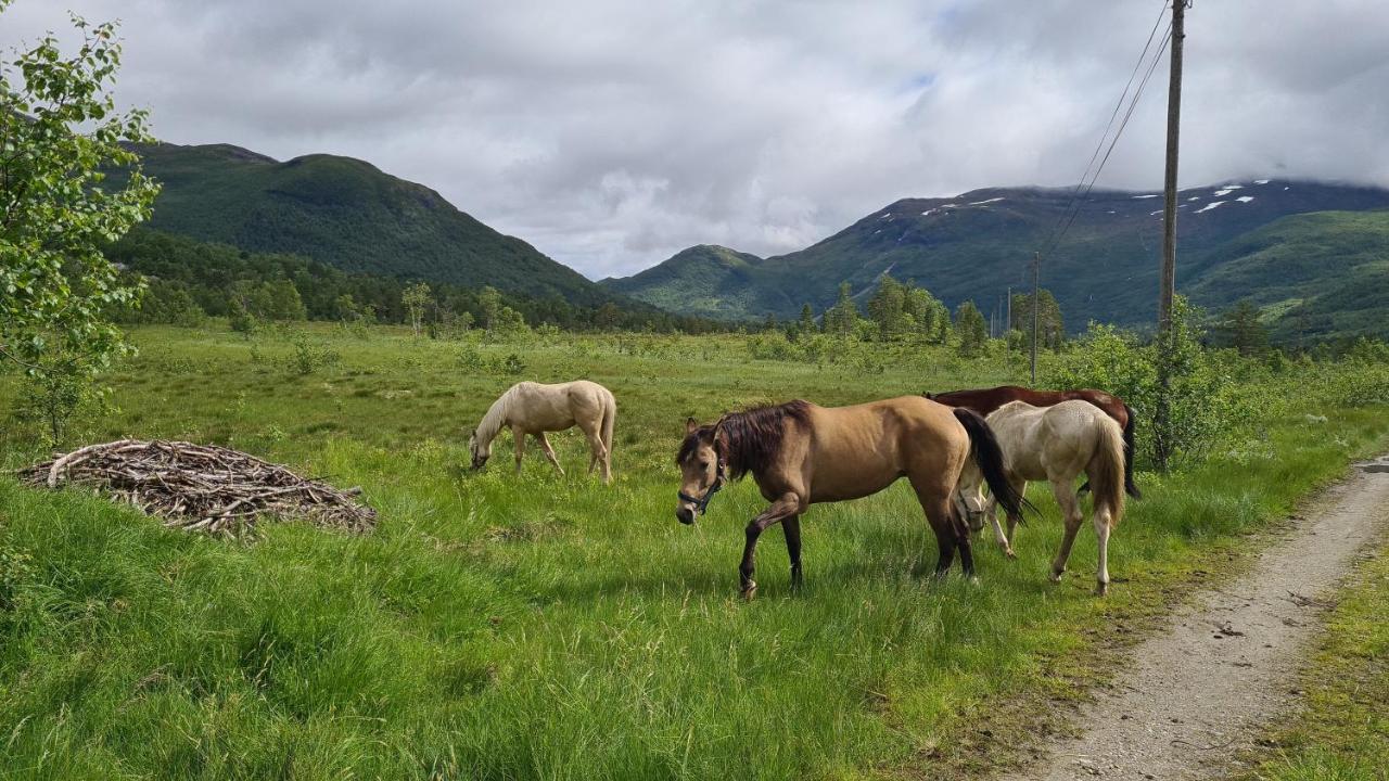 Holiday Home Among The Pearls Of Norway สตรานดา ภายนอก รูปภาพ